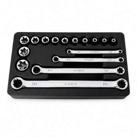 JEUX CLE A DOUILE & POLY DROITE TORX 16PCS ACEM