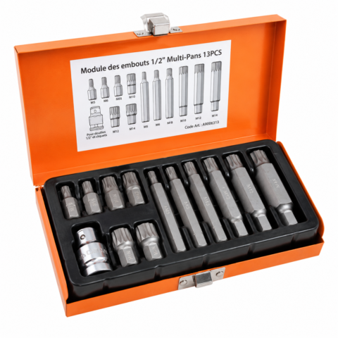 COFFRET EMBOUT MALE TORX 1/2″ 13PCS T30-T60 TT5313B ACEM EXTRA