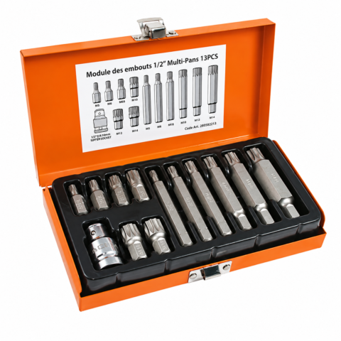 COFFRET EMBOUT MALE 12P 1/2″ 13PCS 6-16MM TT5313C ACEM