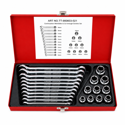 COFFRET CLE A DOUILLLE & MIXTE 21PCS TT660-021M ACEM